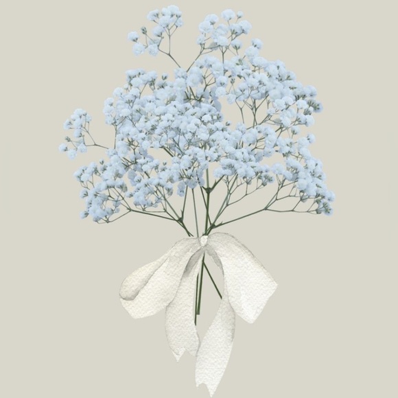 Meet your Posher, Scarlett - Picture 6 of 7